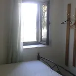 Fosa *