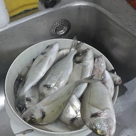 Fosa Opuzen (Dubrovnik-Neretva)